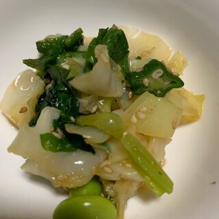 いろいろお野菜の胡麻和え